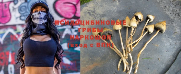 амф Зеленокумск
