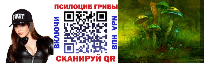купить наркотики цена  Тула  Галлюциногенные грибы мухоморы 